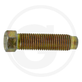Stellschraube M24X90Mm für Steinsich. Granit 56034 067039